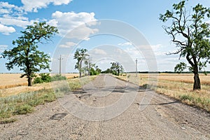 Asphalt bitumen old road with trees and wheat field landscape clouds blue sky