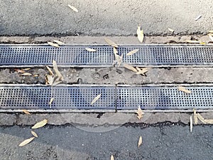 Asphalt and cement with metal drain or grate with leaves