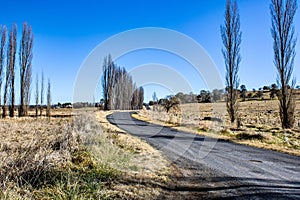 Asphalt country road through brown fields near Deepwater, New South Wales, Australia under blue sky