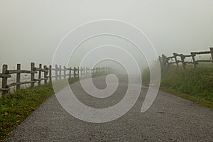 Asphalt country road in a foggy morning, fall atmosheric scene