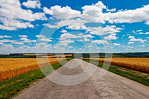 Asphalt country road through golden wheat fields and blue sky with white clouds