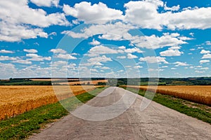 Asphalt country road through golden wheat fields and blue sky with white clouds