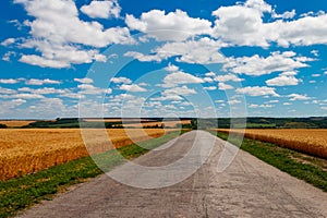 Asphalt country road through golden wheat fields and blue sky with white clouds