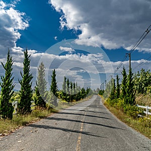 Asphalt country road