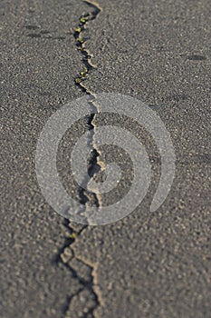 Asphalt with crack