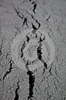 Asphalt with cracks photo