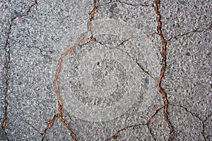 Asphalt with cracks and dry needles of pine from above