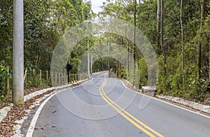 Asphalt and curved road surrounded by forest in the State of São Paulo, Brazil.