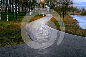 Asphalt gray road in the park at dusk, illuminated by street lamps, meanders between the trees like a huge snake