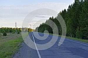 Asphalt high-speed highway in the forest in summer