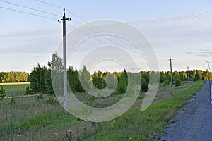 Asphalt high-speed highway in the forest in summer