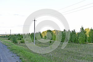 Asphalt high-speed highway in the forest in summer