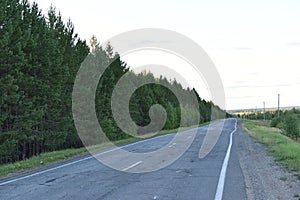 Asphalt high-speed highway in the forest in summer