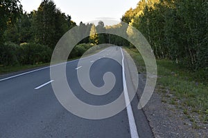 Asphalt high-speed highway in the forest in summer