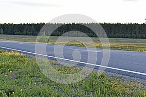 Asphalt high-speed highway in the forest in summer