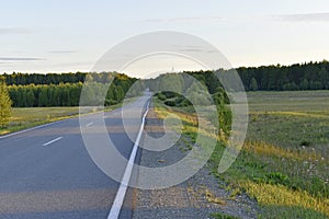 Asphalt high-speed highway in the forest in summer