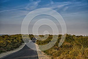 Asphalt hiking path through the dunes of Cadzand Bad, The Netherlands