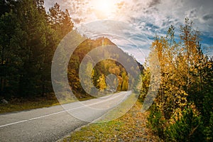 Asphalt mountain road among the yellow autumn trees and high rocks, in the bright rays of the sun. Road trip to the most beautiful