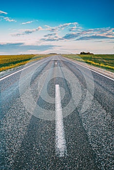 Asphalt Open Road Through Spring Fields And Meadows In Sunny Evening