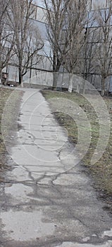 Asphalt path dividing soil with scarce grass