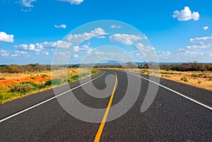 Asphalt road in the African savannah