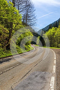 Asphalt road in Austria through the forest, valley in Austria in a beautiful summer day. Alps mountains tranquil summer view