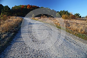 Asphalt road in autumn day