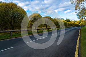 Asphalt road and autumn trees in countryside