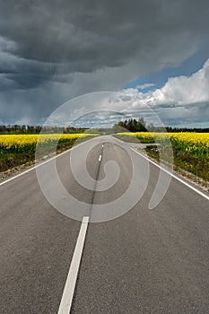 Road beatween fields