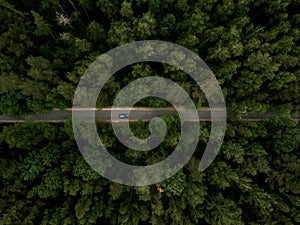 Asphalt road with car through the green forest. Summer landscape.