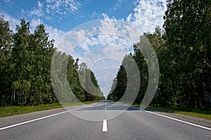 Asphalt road for cars through the forest