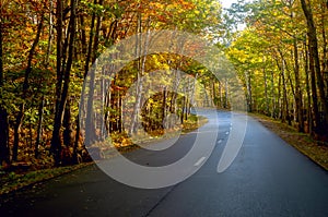 asphalt road in colorful autumn forest on a sunny day. Acadia National Park. USA.
