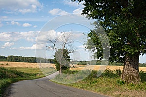 Asphalt road on countriside landscape