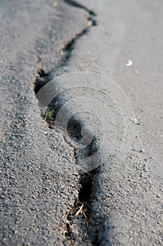 asphalt road cracked due to moving ground. earthquake.