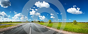 Asphalt road and dandelion field