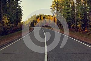 Asphalt road with a dividing strip along the autumn forest