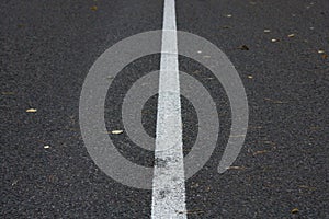 An asphalt road with fallen leaves in an autumn forest. Road markings