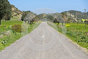 Asphalt road through the field