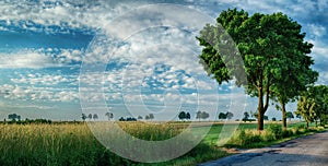 Asphalt road, fields and sky 2