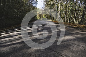 Asphalt road at the forest in autumn.