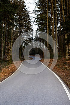 Asphalt road through forest in Bavaria, Germany