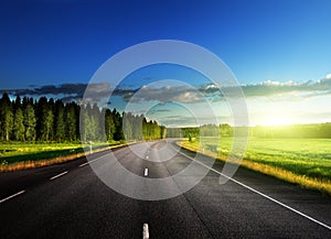 Asphalt road in forest