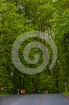 The asphalt road through the forest with traffic signs