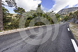 Asphalt road between forests