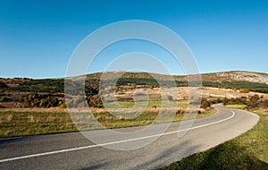 Asphalt road through the green field and clean blue sky in autumn day.