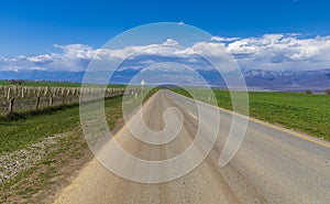 Asphalt road between green fields