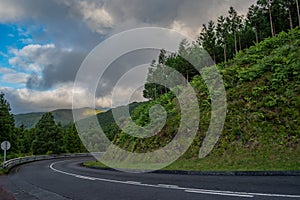 Asphalt road with hill of green plants and cryptomeria trees at dusk in São Miguel island - Azores PORTUGAL