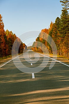 Asphalt road with intermittent dividing strip along the autumn forest