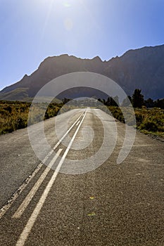 An asphalt road leading past trees up to huge, hazy mountains near Worcester, South Africa