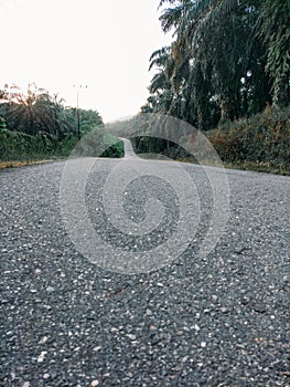 asphalt road with lots of green trees along the side - subulussalam, Aceh, Indonesia- 08 July 2023